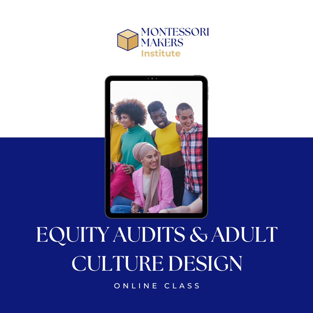 Equity Audits & Adult Culture Design